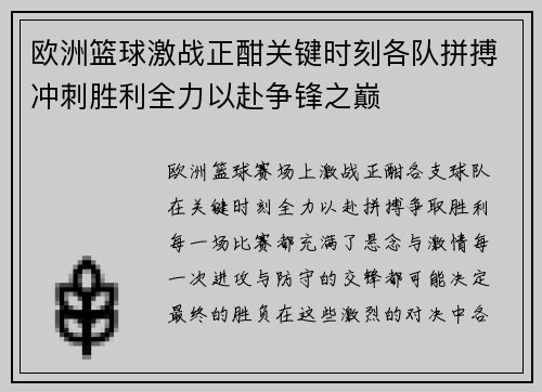 欧洲篮球激战正酣关键时刻各队拼搏冲刺胜利全力以赴争锋之巅